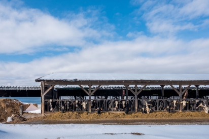 A dairy farm serviced by the River Valley Veterinary Services in the Capital Region of New York.