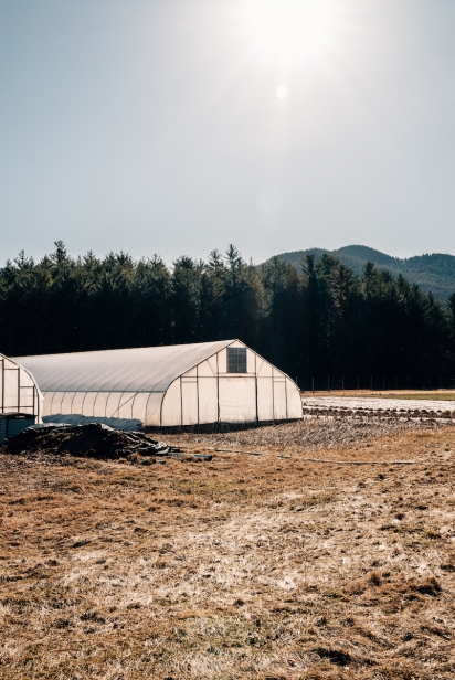 Learn the story of Wild Work Farm in Lake Placid.